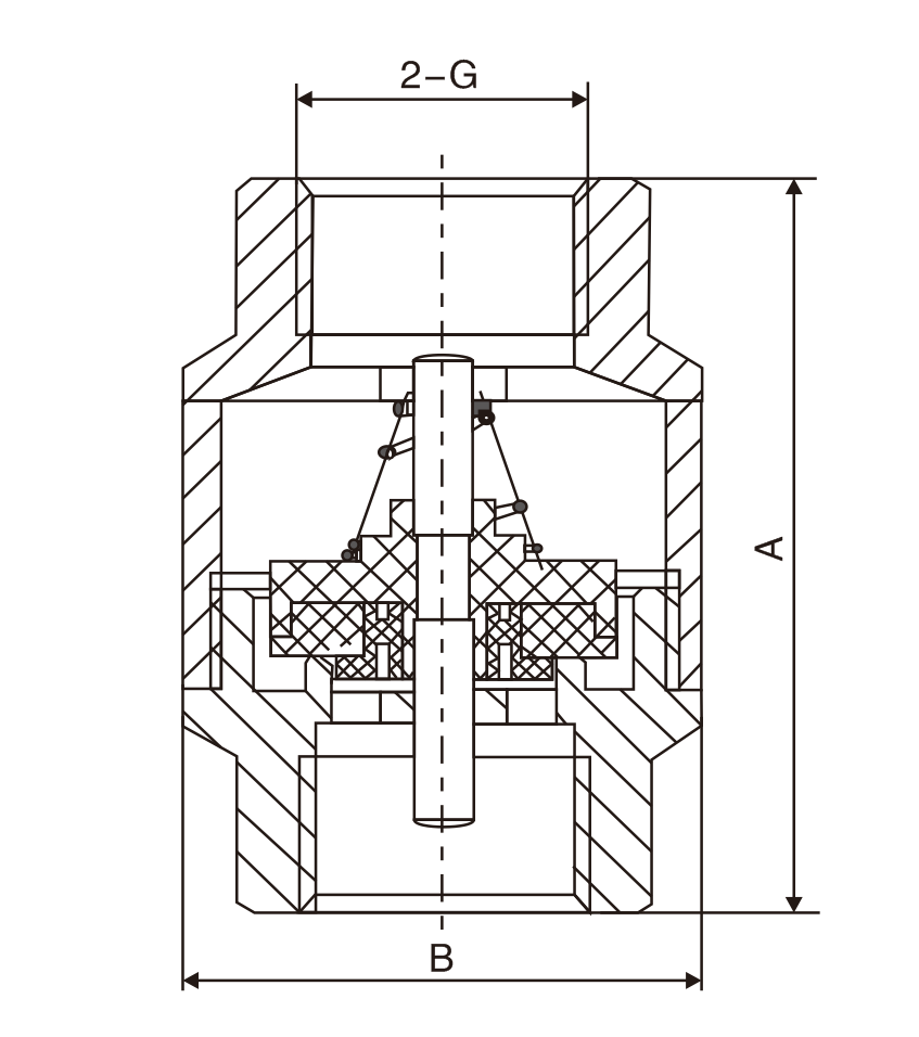 黃銅立式(shì)止回閥(圖1)
