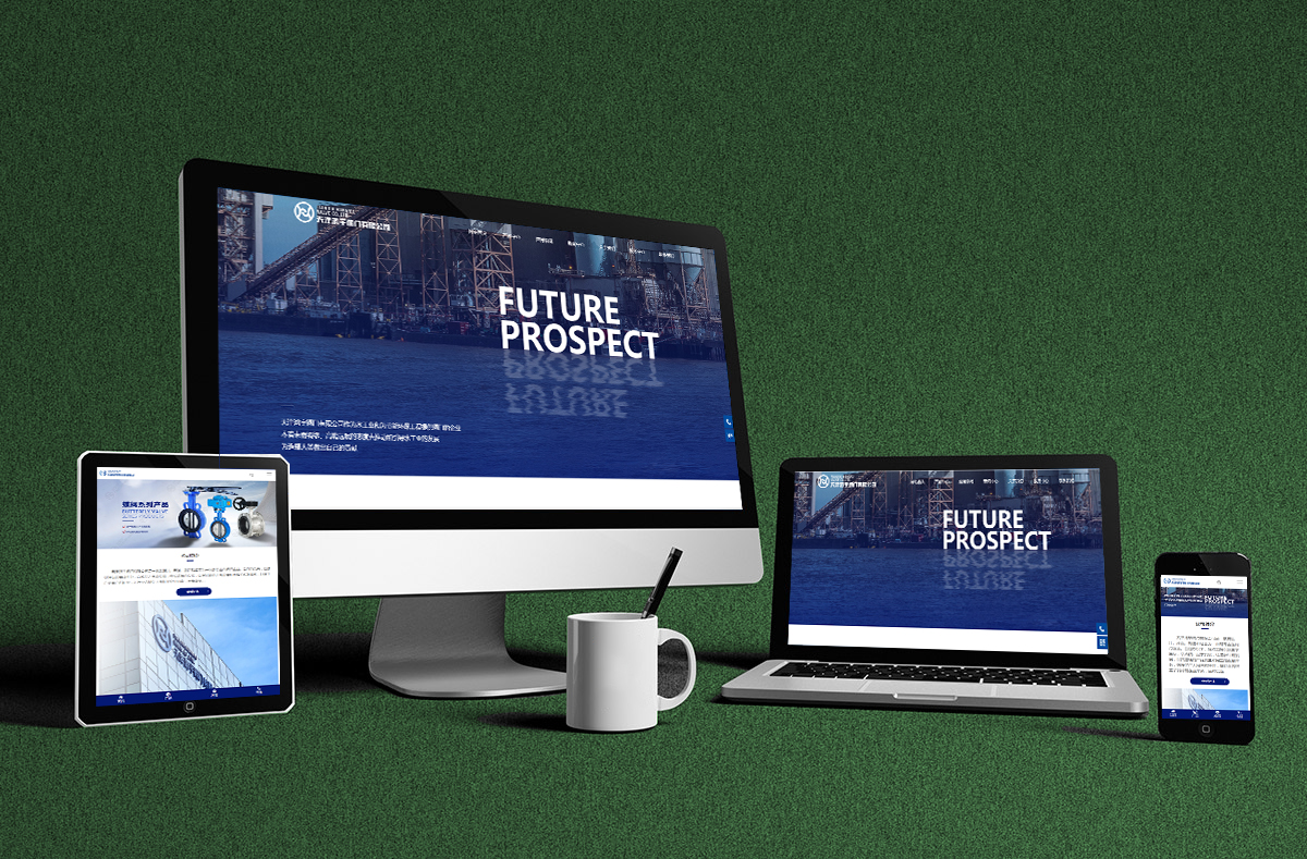 熱烈慶賀(he)南京博高(gao)閥門有限(xiàn)公司網站(zhan)正式開通(tong)